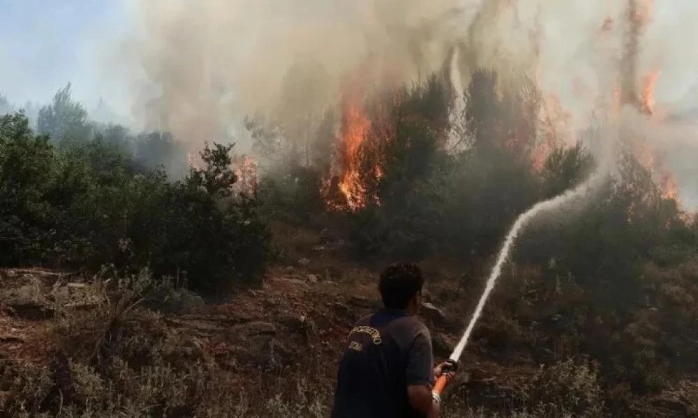 Φωτιά ξέσπασε στην Αλίαρτο Βοιωτίας - Σηκώθηκαν και εναέρια μέσα